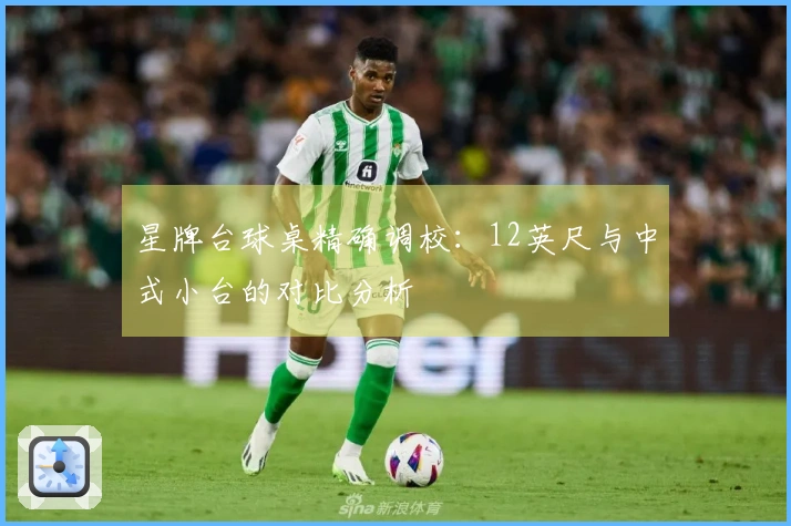 星牌台球桌精确调校：12英尺与中式小台的对比分析