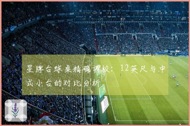 星牌台球桌精确调校：12英尺与中式小台的对比分析